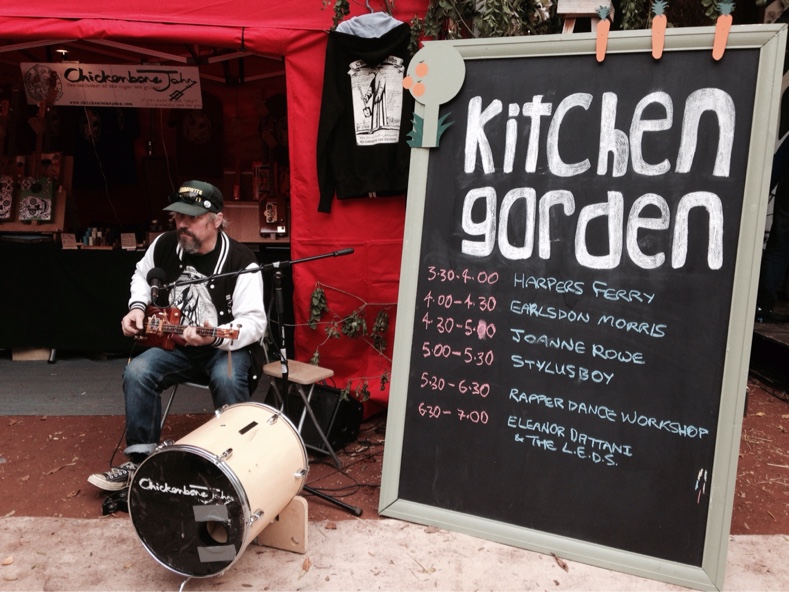 moseley-folk-festival-2015-stylusboy-1.jpg